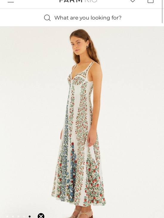 FARM Rio Dresses & Skirts - FARM Rio Cream Maxi Dress with Green and Blue Floral Panels